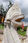 Testa naga bianco, Lampang, La Tailandia.