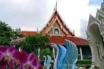 Cigni Tempio, Phitsanulok, La Tailandia.