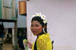 Corona di fiori Frangipani, Phuket Town Gypsy, La Tailandia.