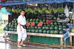 I cocomeri di mercato, Phuket Town Gypsy, La Tailandia.