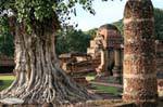 Con un tronco d'albero torturato, Sukhothai, Wat Mahathat, La Tailandia.