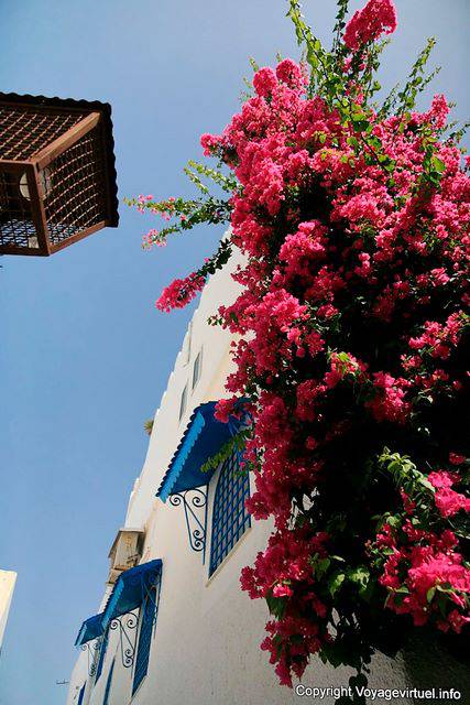 Hammamet, bouganville e ferro nella medina - Tunisia