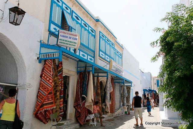 Architettura perla di Hammamet, produce pelle! - Tunisia