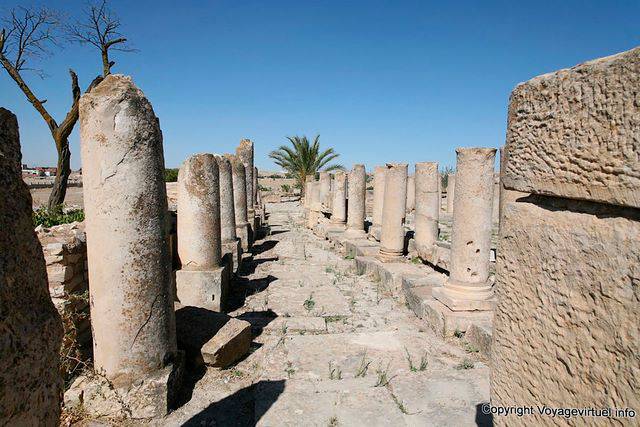 Maktar, basilica, colonne di allineamento troncato - Tunisia