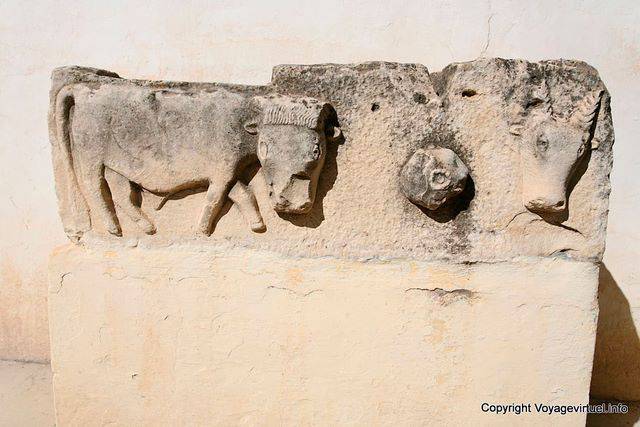Makthar (مكثر), scultura animale, bovini - Tunisia