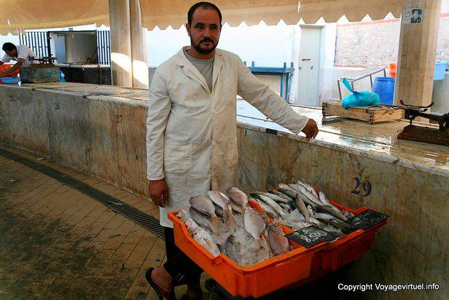 Sfax, pescheria barbuto - Tunisia