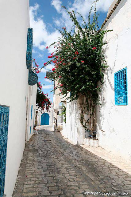 Sidi Bou Said, piccola pavimentazione stradale - Tunisia