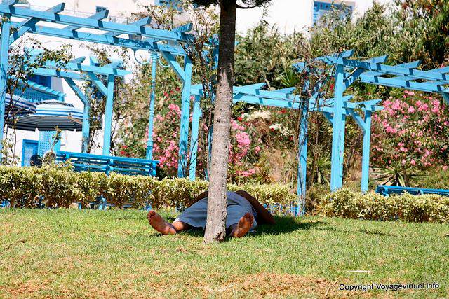 Sidi Bou Said, Nap sull'erba - Tunisia