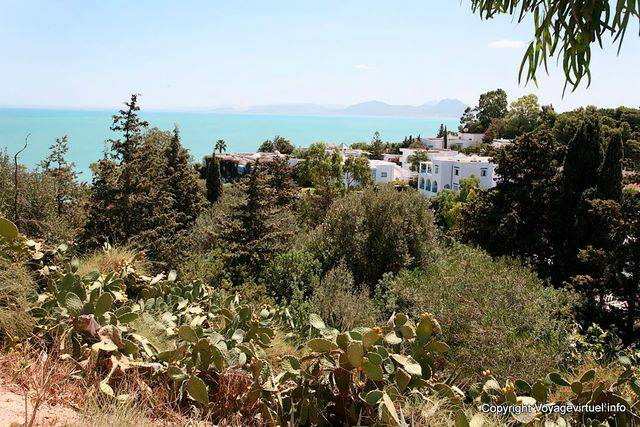 Sidi Bou Said, ville nascoste tra le foglie - Tunisia