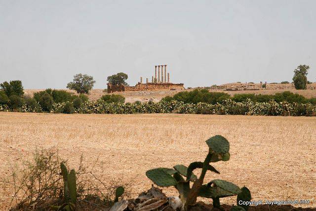 Thuburbo Majus, paese panorama - Tunisia