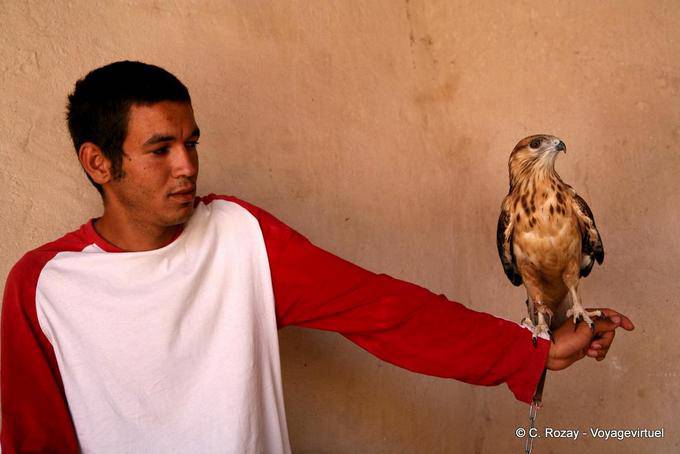 Aquila a portata di mano, Ksar Haddada - Tunisia