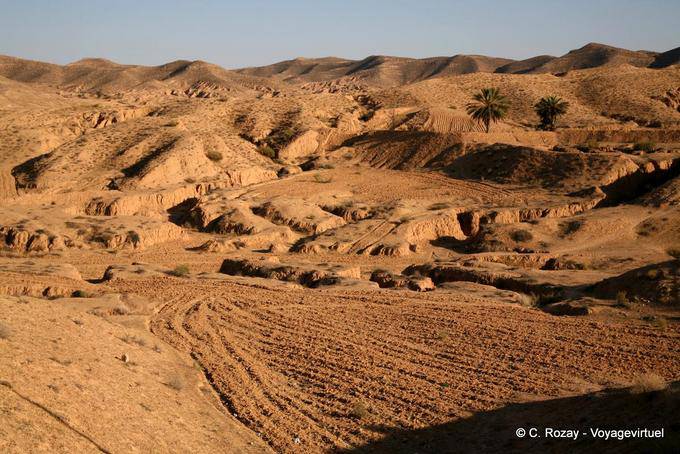 Terreno arato, Matmata - Tunisia