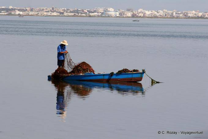 Pesca istantanea nel Mediterraneo, nei pressi di Monastir - Tunisia