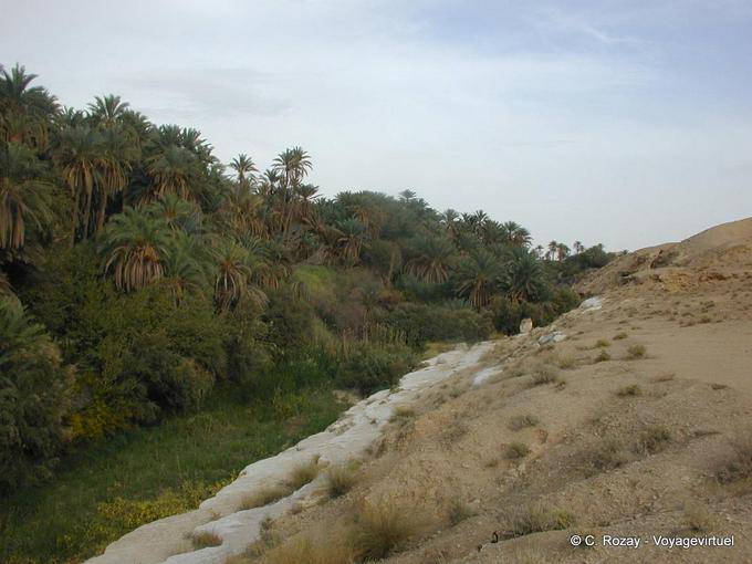 Oasis Tamerza - Tunisia