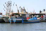 Cap Bon, Sidi Daoud, barche nel porto di pesca, Tunisia.