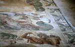 Museo Nazionale di Cartagine, frammento di un mosaico gigante, Tunisia.