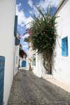 Sidi Bou Said, piccola pavimentazione stradale, Tunisia.