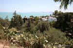 Sidi Bou Said, ville nascoste tra le foglie, Tunisia.
