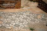 Thuburbo Majus, Capitol, mosaico di casa, Tunisia.