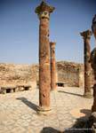 Thuburbo Majus, Casa del Auriga, Tunisia.