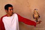 Aquila a portata di mano, Ksar Haddada, Tunisia.
