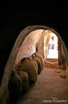 Vasi all'interno di una cella, Ksar Ouled Soltane, Tunisia.