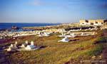 Vista del cimitero e la Borj El Kebir Mahdia Cap Africa, Tunisia.