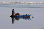 Pesca istantanea nel Mediterraneo, nei pressi di Monastir, Tunisia.