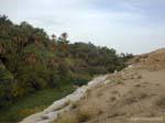 Oasis Tamerza, Tunisia.