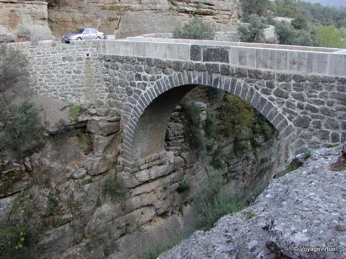Vecchio ponte sul Köprülü Canyon - Turchia